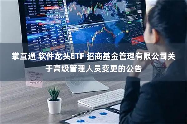 掌互通 软件龙头ETF 招商基金管理有限公司关于高级管理人员变更的公告