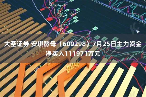 大圣证券 安琪酵母(600298)7月25日主力资金净买入111971万元