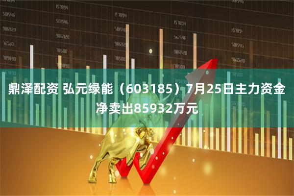 鼎泽配资 弘元绿能(603185)7月25日主力资金净卖出85932万元