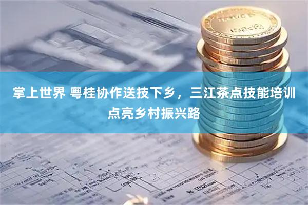 掌上世界 粤桂协作送技下乡，三江茶点技能培训点亮乡村振兴路