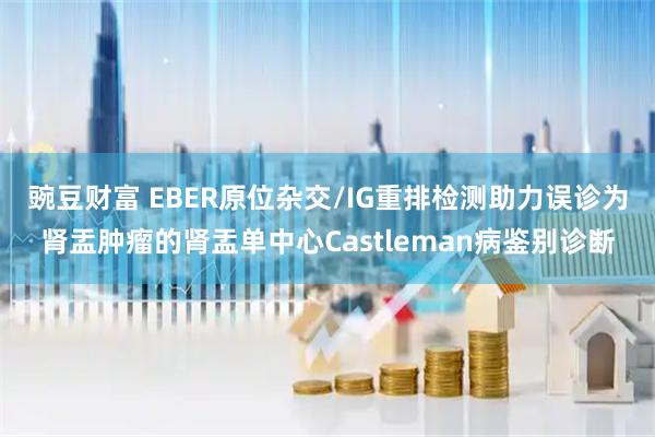 豌豆财富 EBER原位杂交/IG重排检测助力误诊为肾盂肿瘤的肾盂单中心Castleman病鉴别诊断