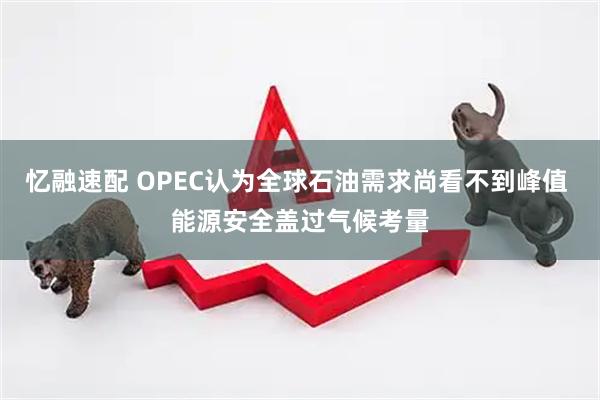 忆融速配 OPEC认为全球石油需求尚看不到峰值 能源安全盖过气候考量